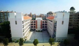 汕尾龙溪小学最新爆料,揭秘校园生活新篇章