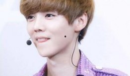 鹿晗评价美食爆料视频是真的吗,鹿晗美食爆料视频真实性揭秘