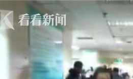 石家庄假食爆料事件视频,揭露食品安全背后的惊人真相