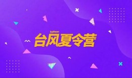 台风夏令营爆料新闻稿,勇敢少年与自然灾害的较量